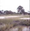 Namibia.Owambo.Ongha.jpg (30858 bytes)