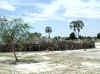 Namibia.Owambo.Oshana.Endola_2.jpg (98362 bytes)