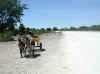 Namibia.Owambo.Oshikoto.D3630_2.jpg (78235 bytes)