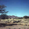 Namibia.Solitaire.jpg (36532 bytes)