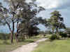 Namibia_Caprivi_Bukalo_1.JPG (115181 bytes)