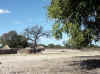Namibia_Caprivi_Chinchimane_2.JPG (119241 bytes)