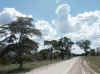 Namibia_Caprivi_DR3509_2.JPG (85831 bytes)