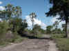 Namibia_Caprivi_DR3510_4.JPG (102556 bytes)