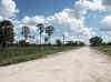 Namibia_Caprivi_DR3512_1.JPG (77832 bytes)