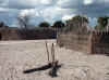 Namibia_Caprivi_Kabbe_2.JPG (96863 bytes)