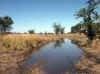 Namibia_Caprivi_Kalembesa_4.JPG (95721 bytes)