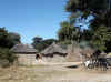 Namibia_Caprivi_Kalembesa_6.JPG (109072 bytes)