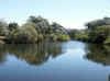 Namibia_Caprivi_Kalembesa_8.JPG (65276 bytes)
