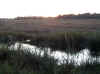 Namibia_Caprivi_Mamili-Reserve_14.JPG (78792 bytes)