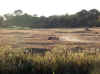 Namibia_Caprivi_Mamili-Reserve_20.JPG (89343 bytes)