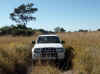 Namibia_Caprivi_Mamili-Reserve_27.JPG (95072 bytes)
