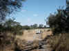 Namibia_Caprivi_Mamili-Reserve_4.JPG (112035 bytes)