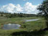 Namibia_Caprivi_Ngoma_1.JPG (85518 bytes)