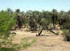 Namibia_Erongo_Otjimbingwe_1.jpg (170555 bytes)