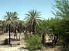 Namibia_Erongo_Otjimbingwe_2.jpg (176129 bytes)