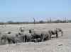 Namibia_Etosha_Chudob_2.jpg (65877 bytes)