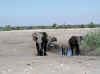 Namibia_Etosha_Chudob_3.jpg (66065 bytes)