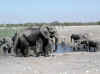Namibia_Etosha_Chudob_4.jpg (75035 bytes)