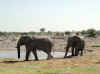 Namibia_Etosha_Okaukuejo_10.jpg (67278 bytes)