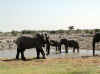 Namibia_Etosha_Okaukuejo_13.jpg (70346 bytes)