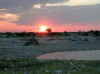 Namibia_Etosha_Okaukuejo_3.jpg (65229 bytes)