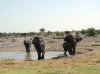 Namibia_Etosha_Okaukuejo_9.jpg (73115 bytes)