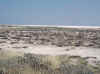 Namibia_Etosha_Ondongab_Pan_1.jpg (84802 bytes)