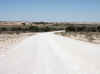 Namibia_Hardap_Auob_River_1.JPG (69699 bytes)