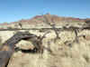 Namibia_Hardap_District Road_827_4.jpg (91534 bytes)