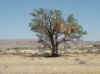 Namibia_Hardap_Main Road_36_7.jpg (71240 bytes)
