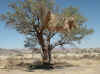 Namibia_Hardap_Main Road_36_8.jpg (101754 bytes)