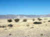 Namibia_Hardap_Main Road_36_Naukluft.jpg (76080 bytes)