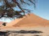 Namibia_Hardap_SossusVley_18.JPG (97621 bytes)