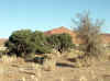 Namibia_Hardap_SossusVley_2.JPG (95537 bytes)