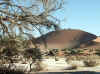 Namibia_Hardap_SossusVley_5.JPG (122333 bytes)