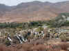 Namibia_Kaoko_Epupa_3.jpg (166513 bytes)