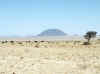 Namibia_Karas_Aus-Luderitz-Railway_km 188_Ostrich_2.JPG (66807 bytes)