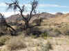 Namibia_Karas_Aus_Vista_2.JPG (122635 bytes)