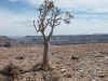 Namibia_Karas_FishRiver_Canyon_20.jpg (220394 bytes)