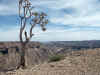 Namibia_Karas_FishRiver_Canyon_21.jpg (195961 bytes)