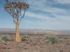 Namibia_Karas_FishRiver_Canyon_26.jpg (164948 bytes)