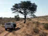 Namibia_Karas_Kalahari_DistrictRoad616_2.JPG (100238 bytes)