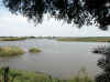 Namibia_Kavango_MahangoReserve_10.jpg (101631 bytes)