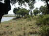 Namibia_Kavango_MahangoReserve_11.jpg (118098 bytes)
