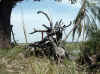 Namibia_Kavango_MahangoReserve_12.jpg (117597 bytes)