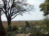 Namibia_Kavango_MahangoReserve_3.jpg (115227 bytes)