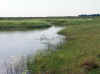 Namibia_Kavango_MahangoReserve_7.jpg (84329 bytes)