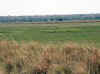 Namibia_Kavango_MahangoReserve_9.jpg (100870 bytes)