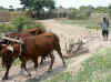 Namibia_Kavango_Ndiyona_4.jpg (105385 bytes)